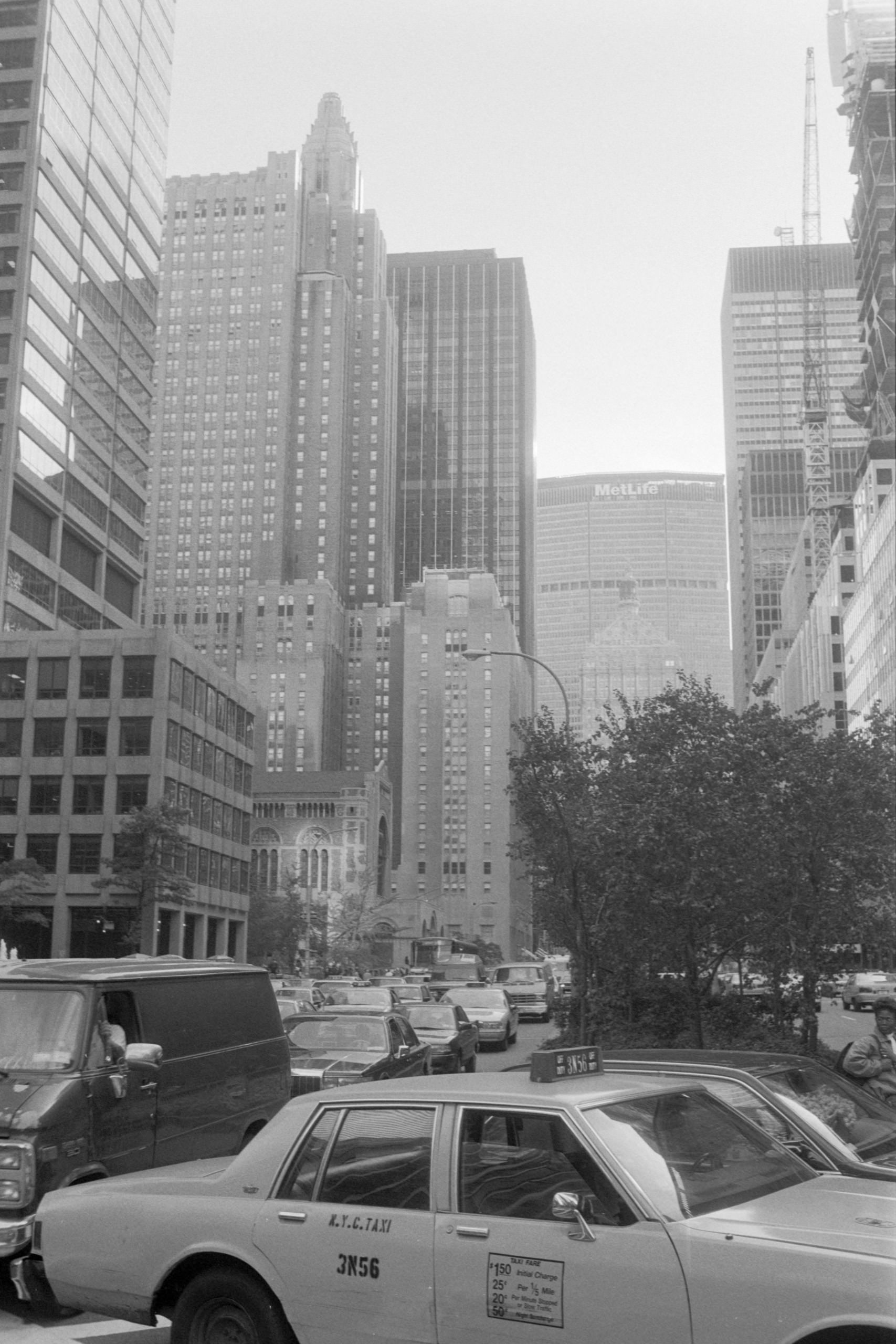 AHP FilmScan 240807 0790